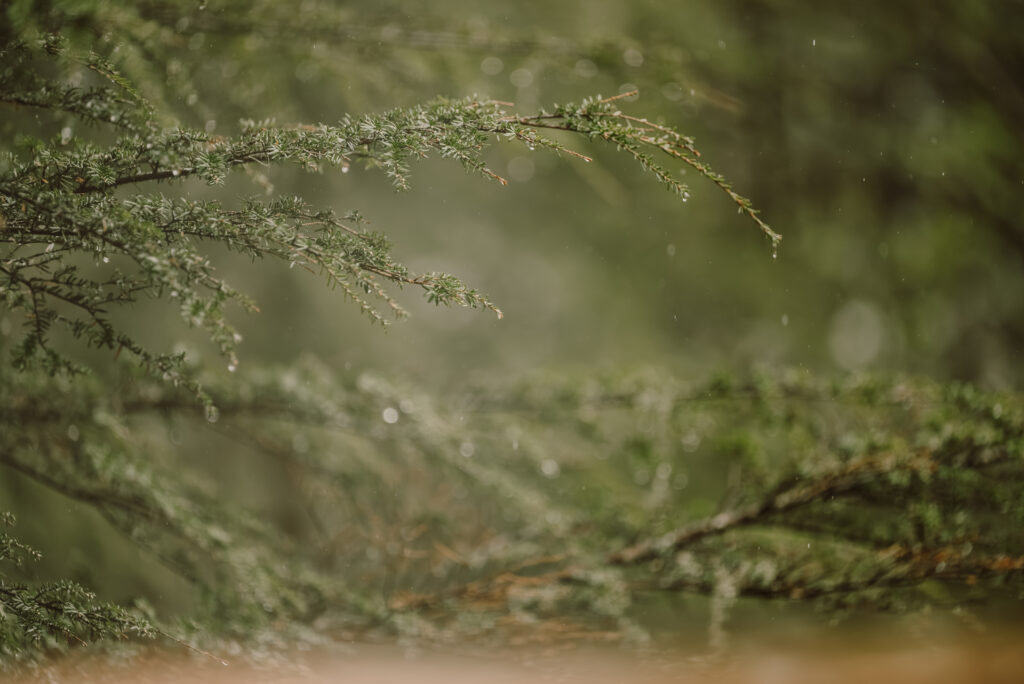 rainy day at Juneau, Alaska