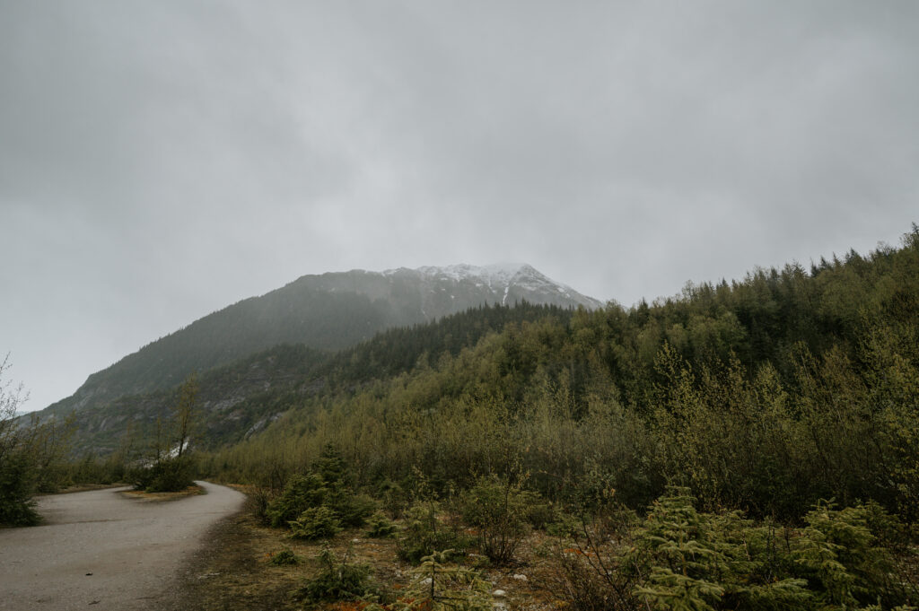 Tongass National Forest's view