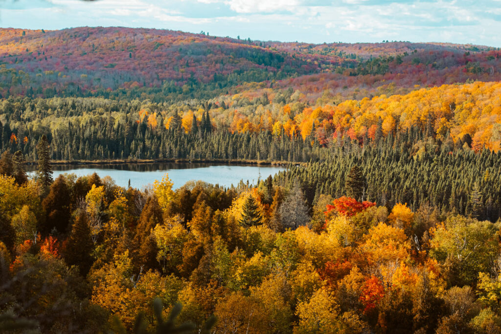 the view of colorful fall leaves in the forest on the hills with the lake