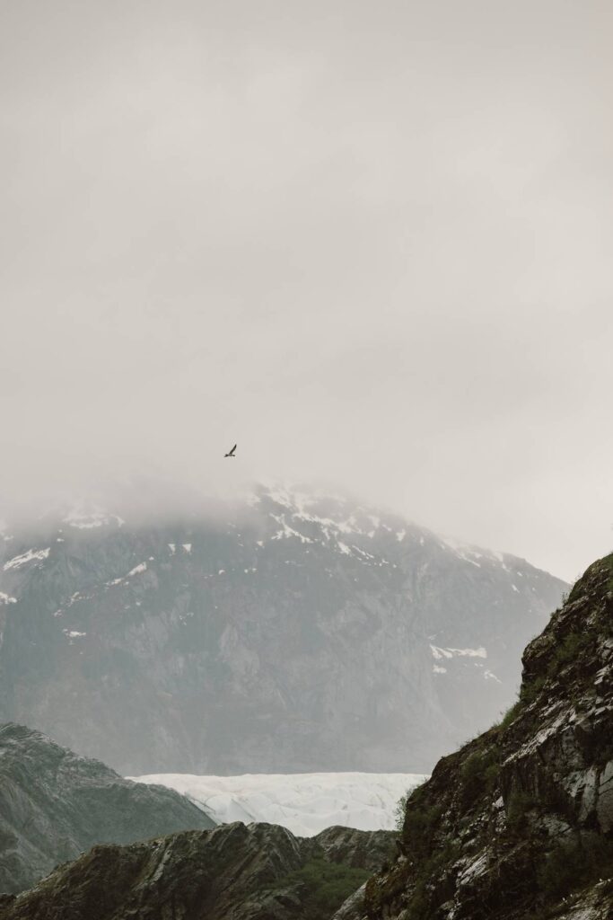 Seagulls fly over the Mendenhall Glaciers