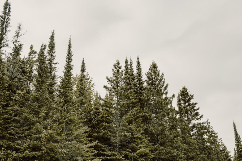 boundary waters elopement photographer