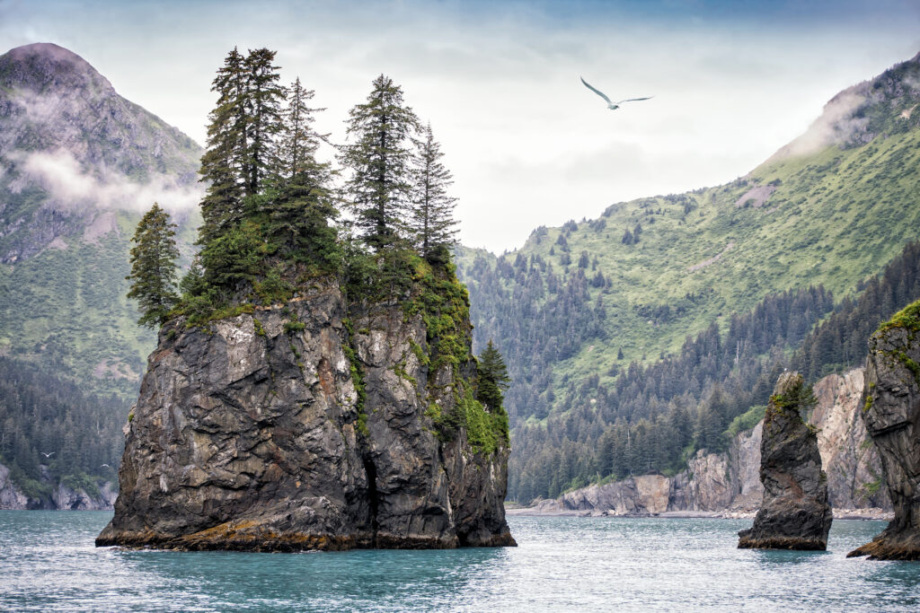 Kenai Islands