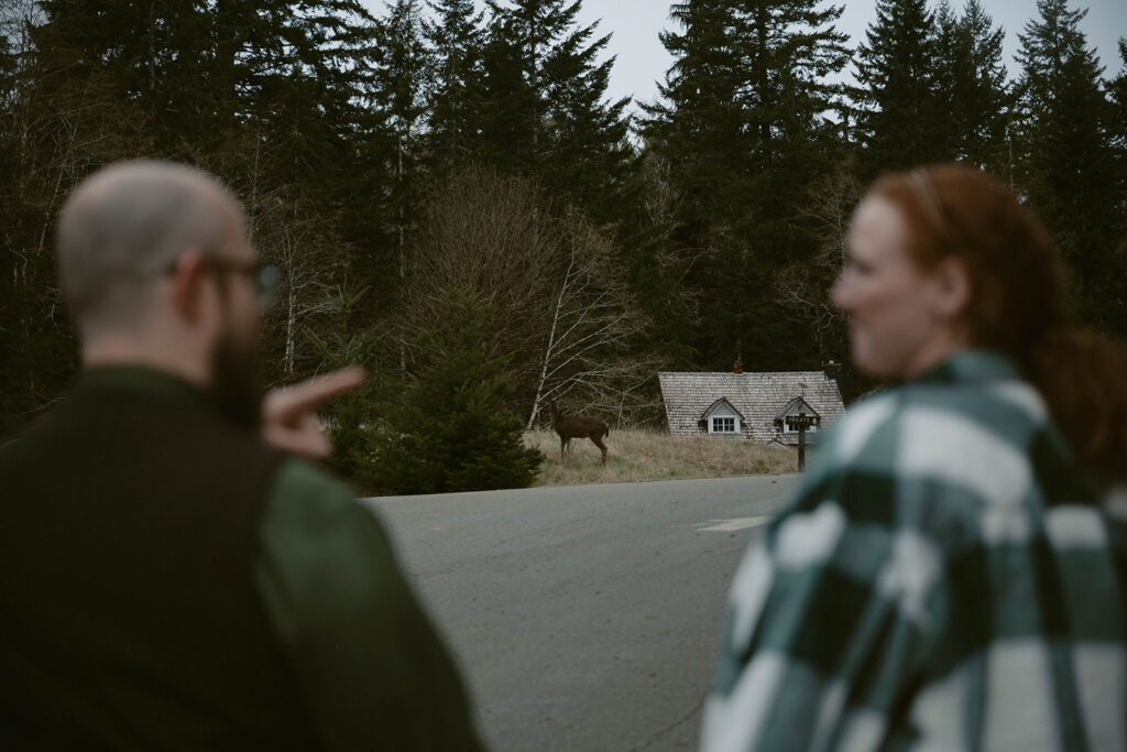 Lake Crescent elopement couple chatting awhile the elk walk past them