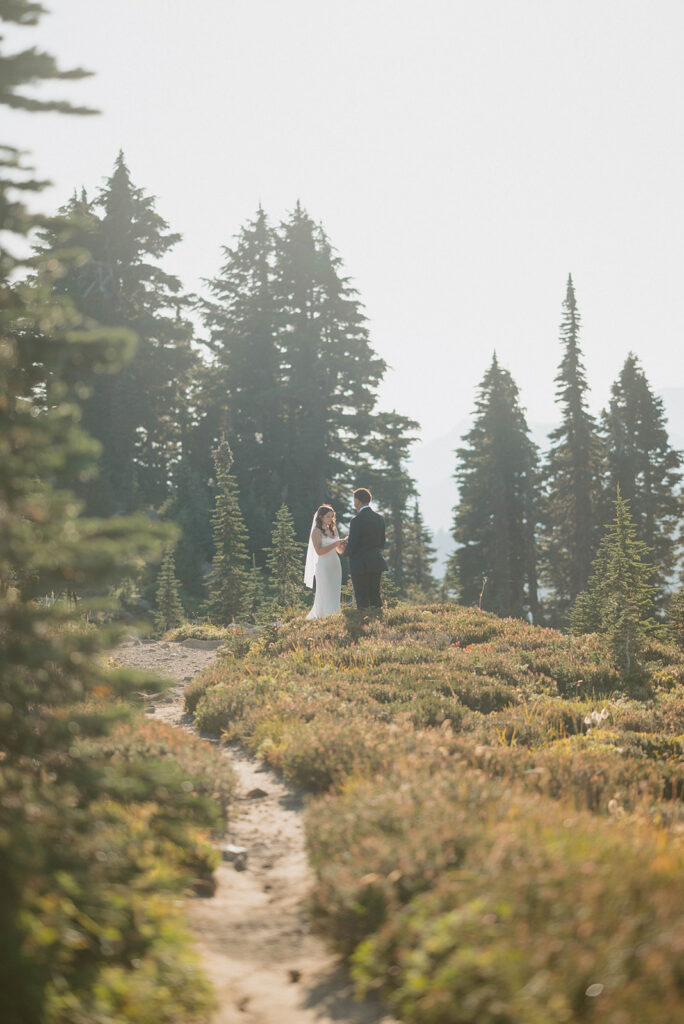 Mt Rainier Elopement Couple
