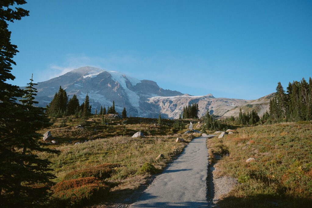 Washington Mount Rainier Elopement