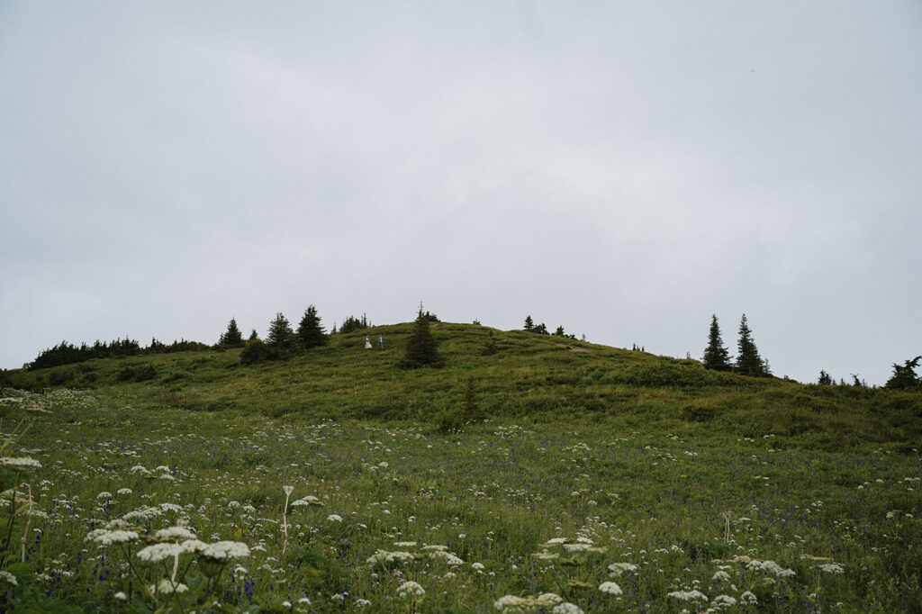 Alaska Adventure Mountain Elopemennt