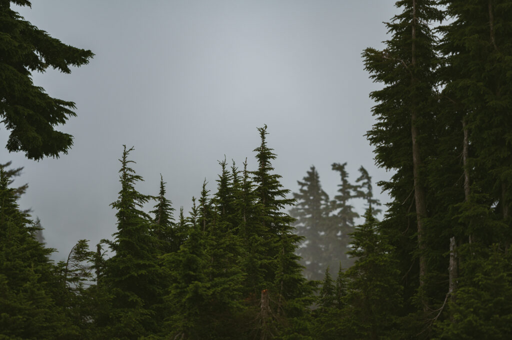 Mount Rainier Elopement Photographer