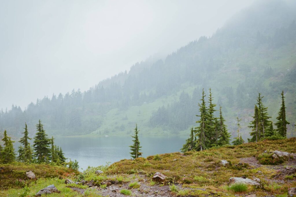nature photo of North Cascades