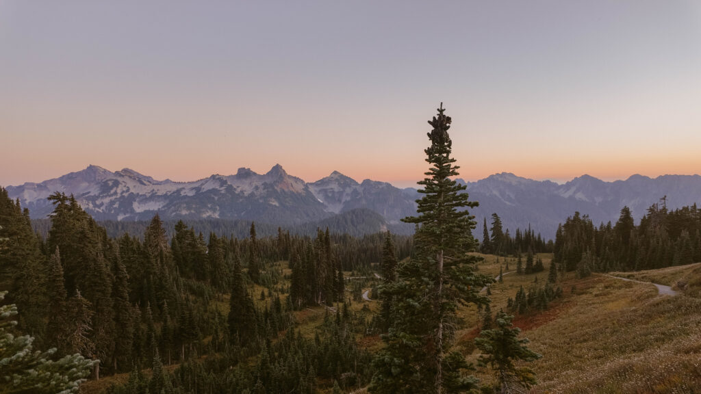 Mt Rainier Elopement Ideas